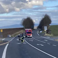 olspur2.jpg